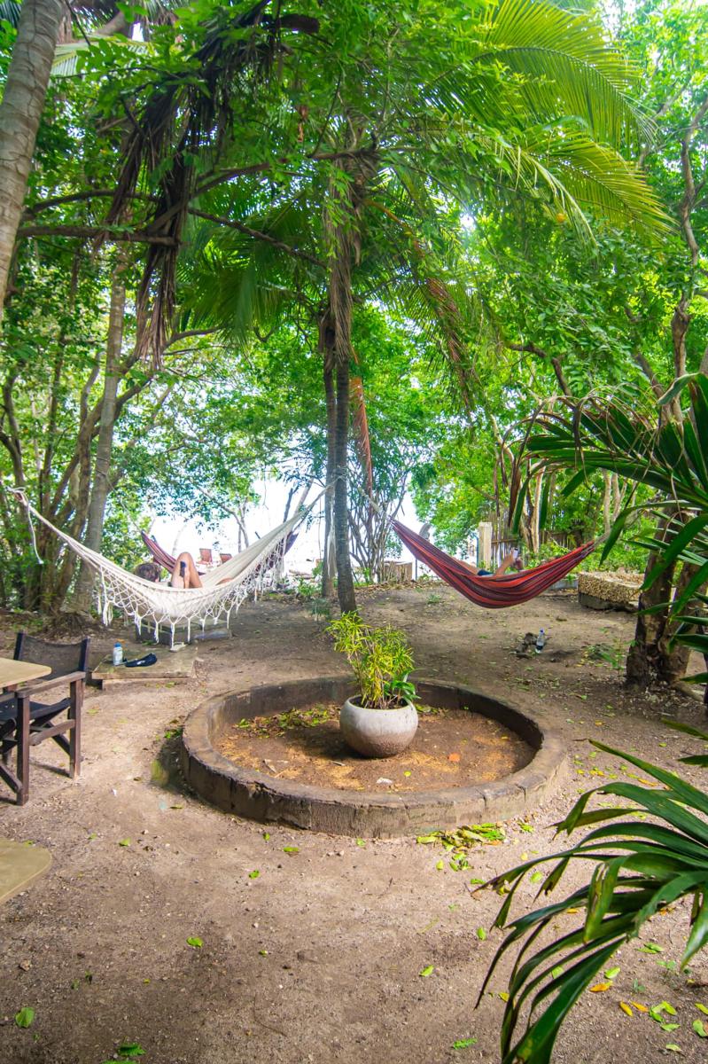 HOTEL ISLA AZUL photo 4