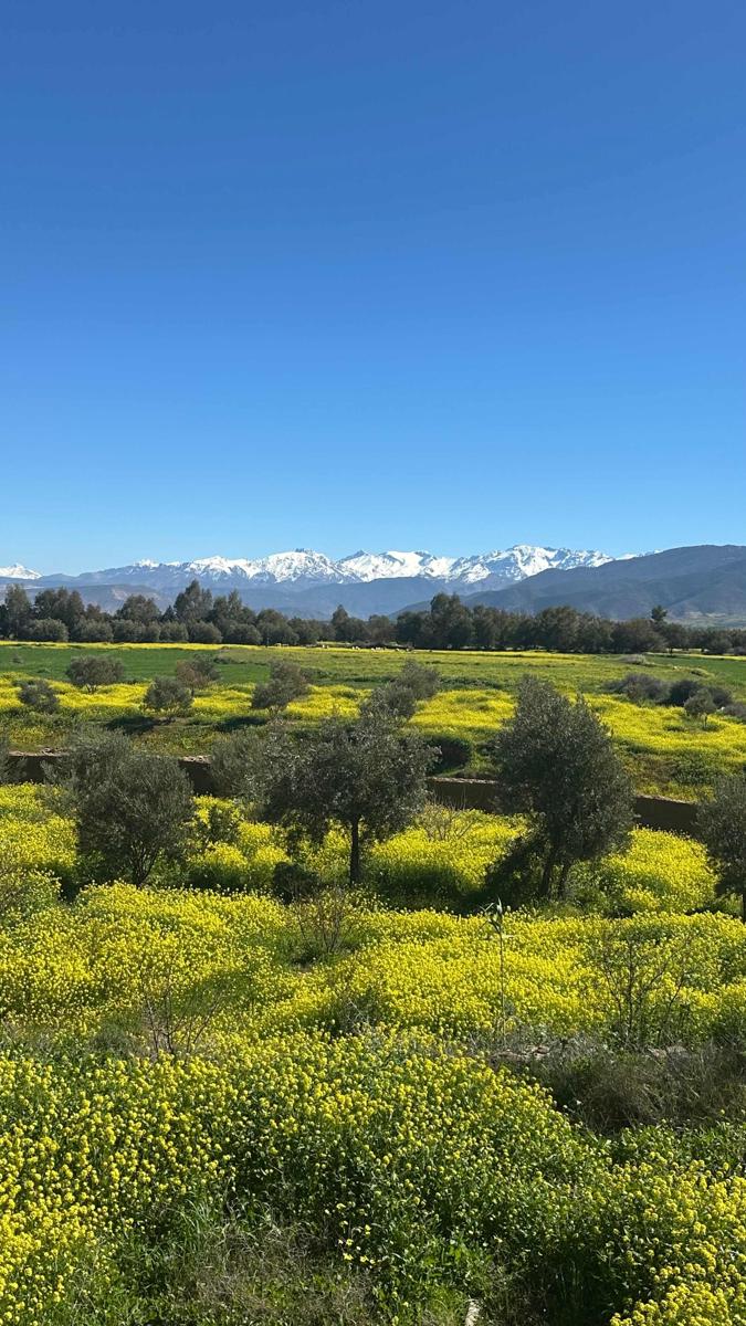 Mountain Riad near Marrakesh photo 1
