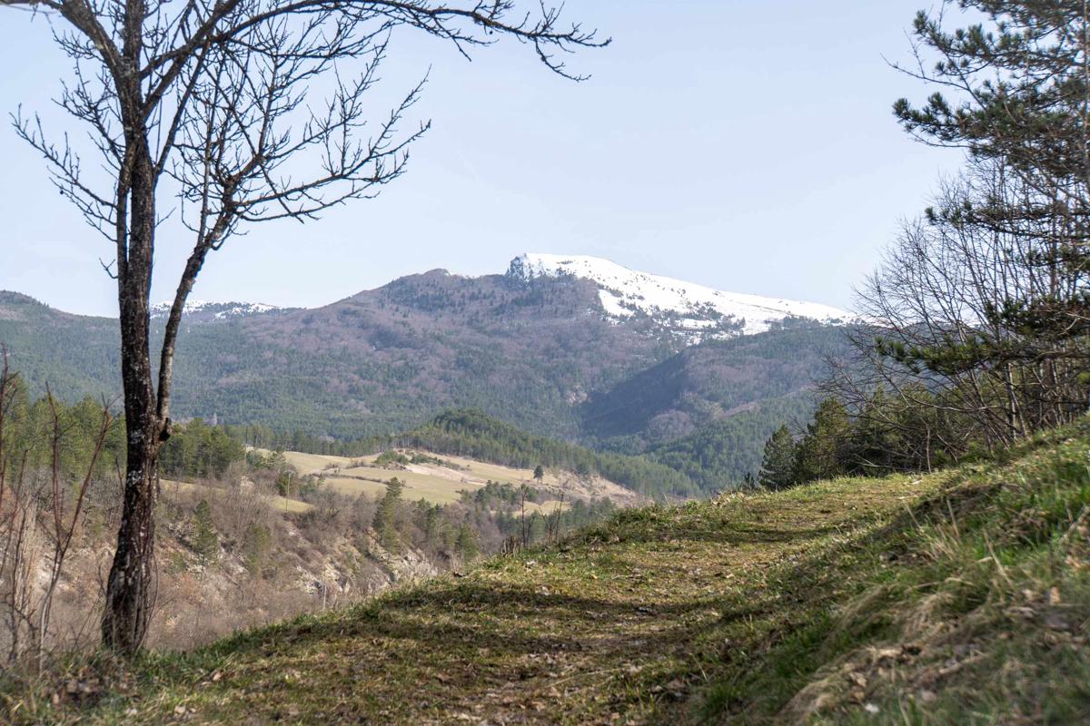 L'Auberge de Valdrôme photo 5