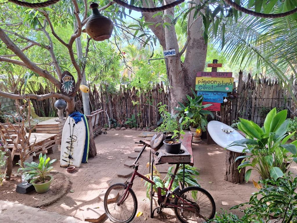 Akki's Hostel photo 2