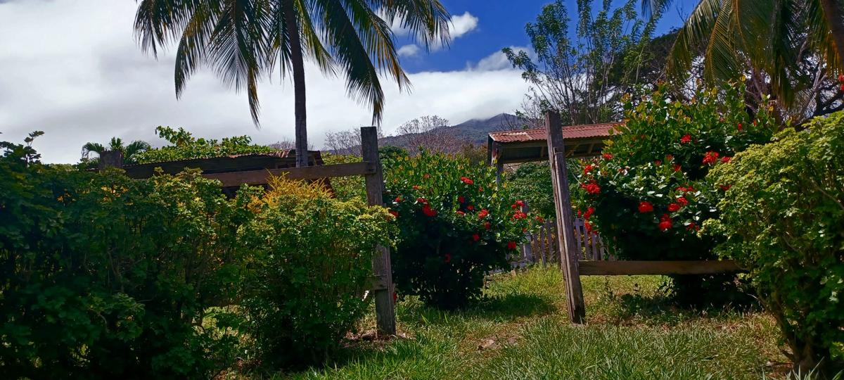 Finca Magdalena Eco-lodge photo 4