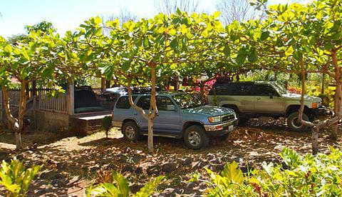Finca Magdalena Eco-lodge photo 6