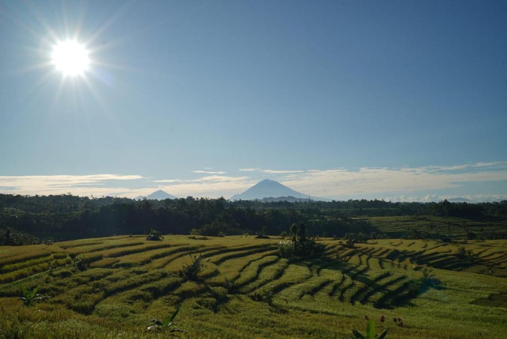 Jatiluwih Guava Eco Living photo 2
