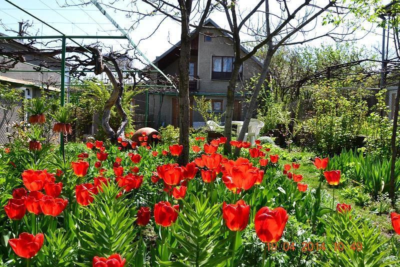 Milorava's Guest House & Wine Cellar photo 1