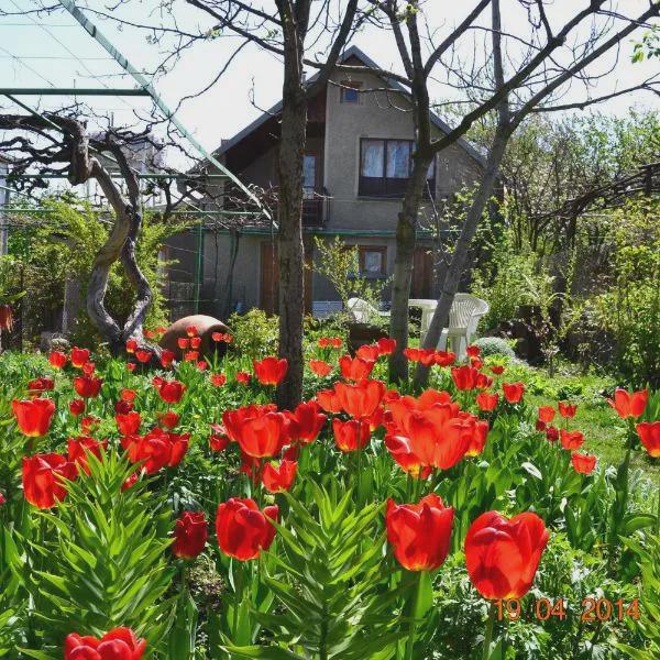 Milorava's Guest House & Wine Cellar photo 5