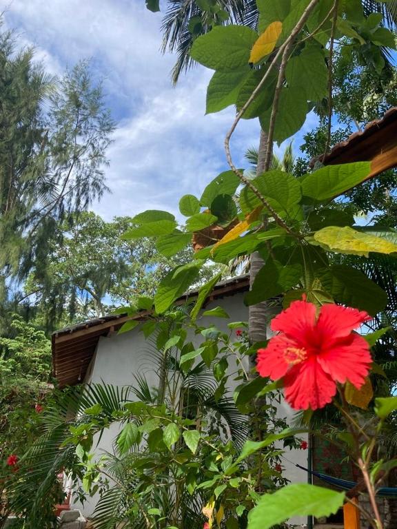 River Point Cabana at Arugam Bay photo 4