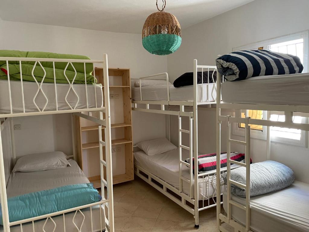 Cozy Surf House Taghazout photo 4