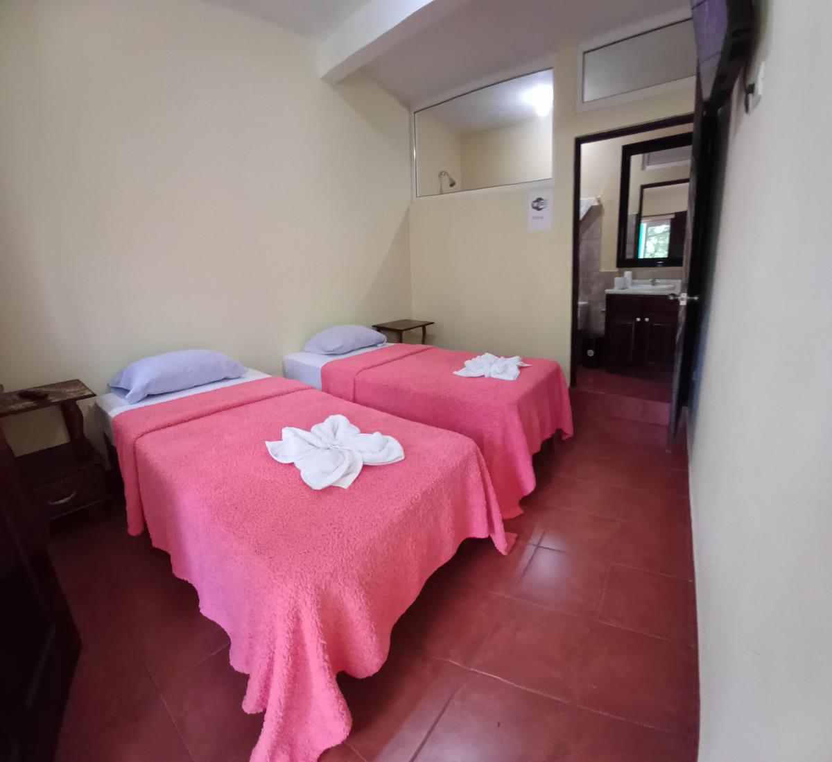 Casa Roca photo 3