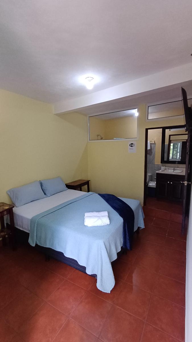 Casa Roca photo 4