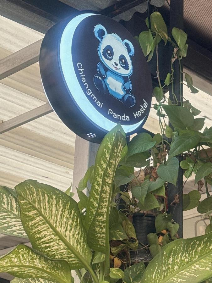 Chiang Mai Panda Hostel photo 2