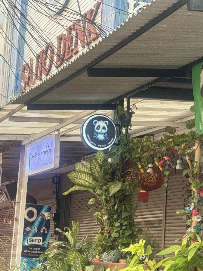 Chiang Mai Panda Hostel photo 3