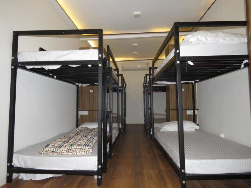 Comfort Stay Hostel photo 3