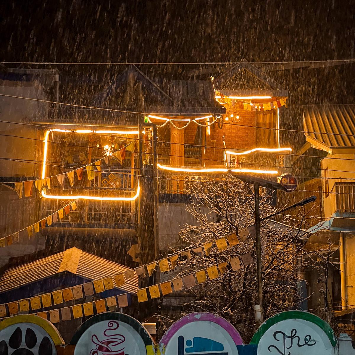 The Locals Manali photo 1