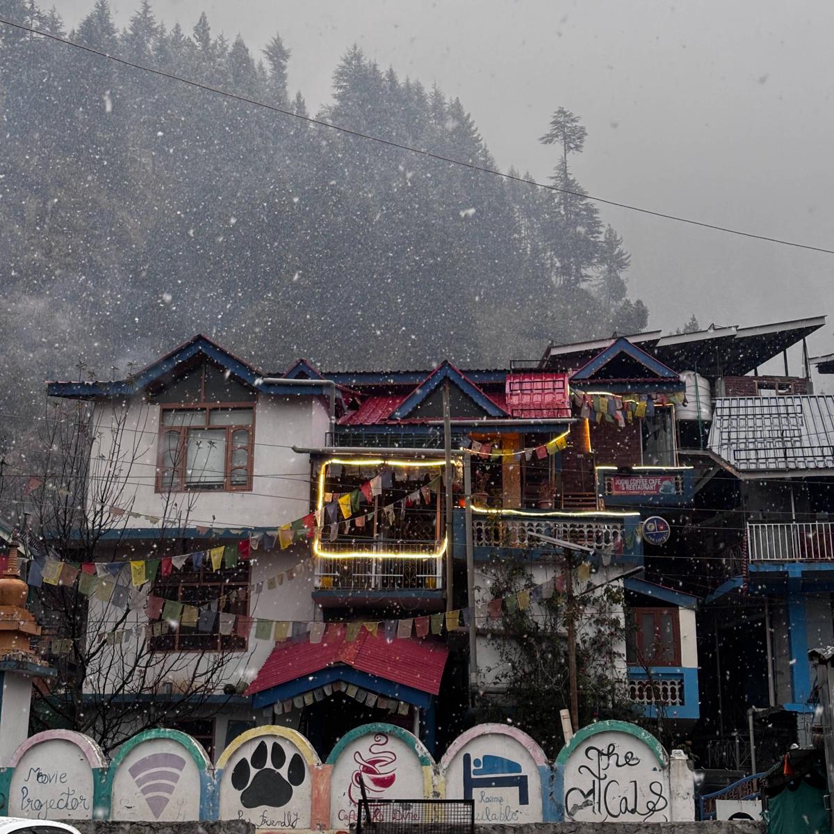 The Locals Manali photo 4