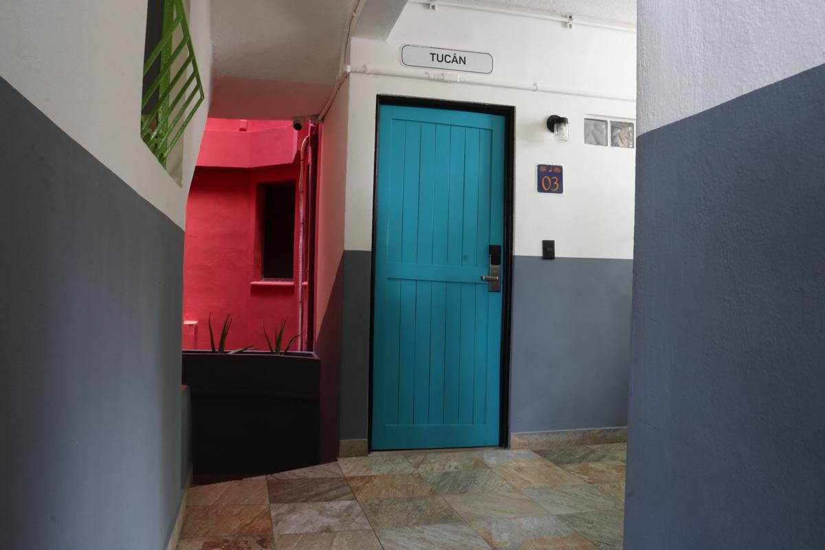 Hostal CASA MX quinta avenida photo 2