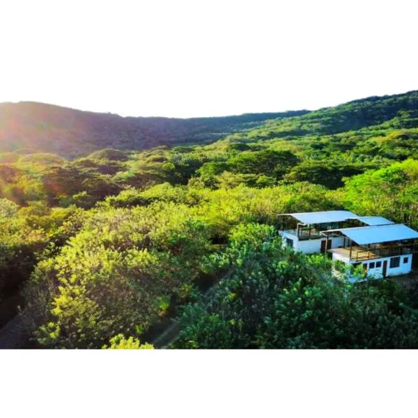 Four Trees Jungle Lodge photo 5
