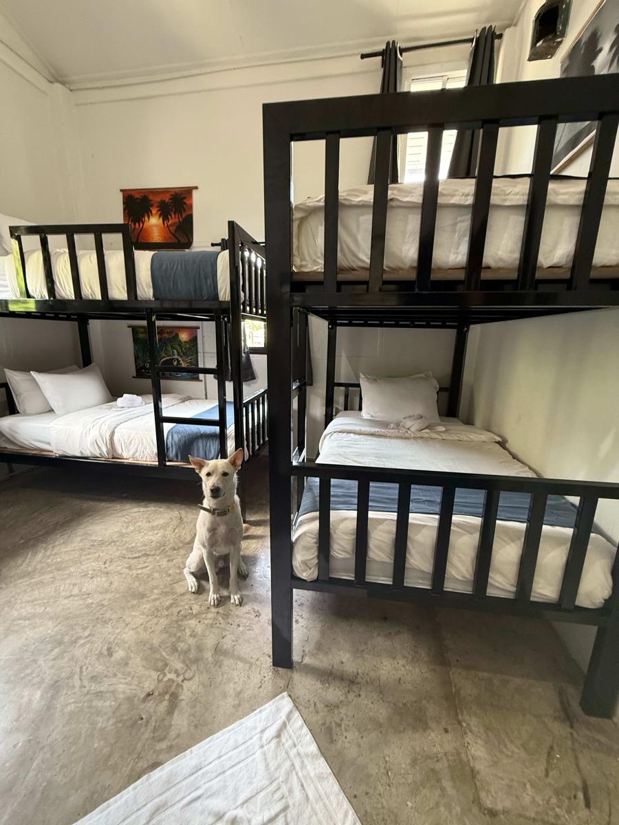 Nok Guesthouse & Hostel photo 1