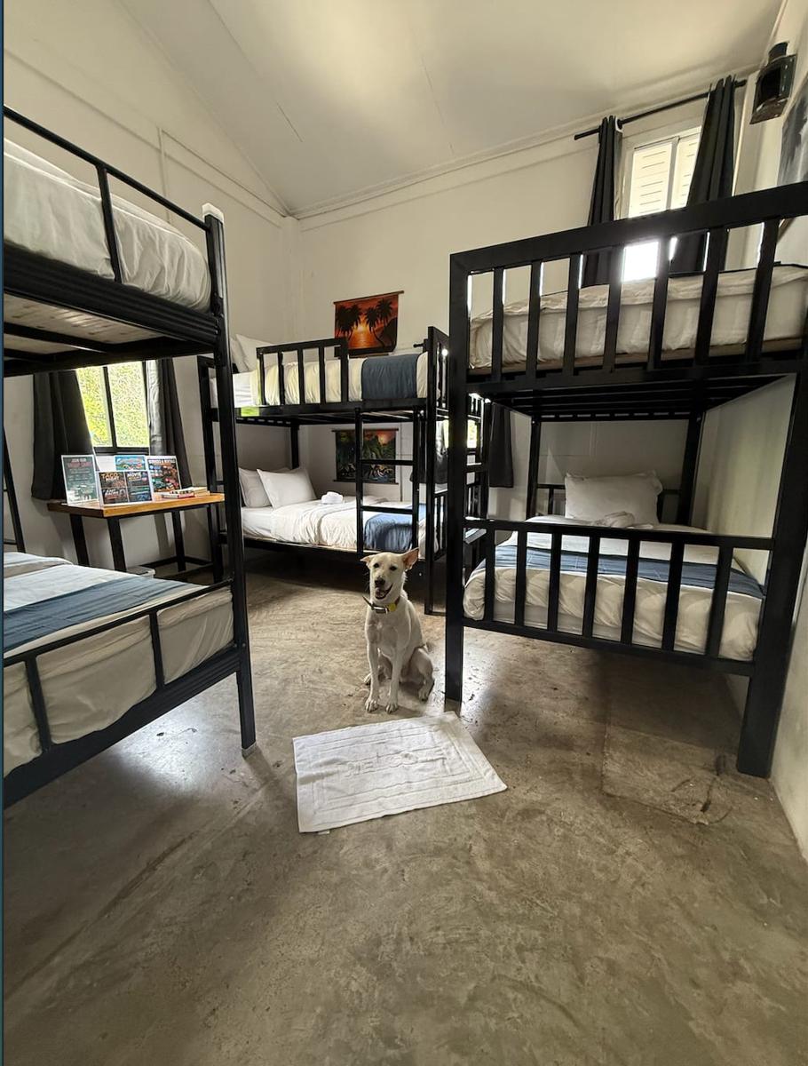 Nok Guesthouse & Hostel photo 4
