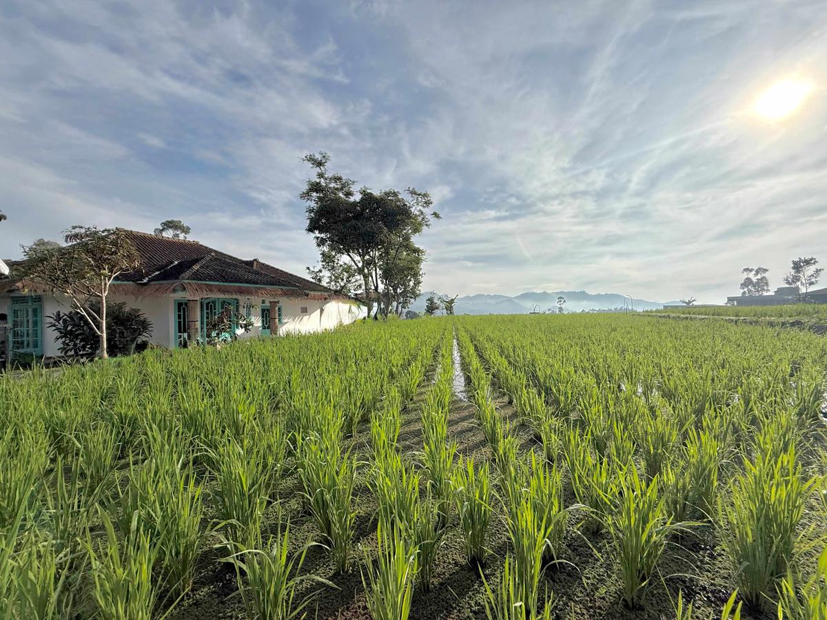 Stay and Farm Hostel photo 1