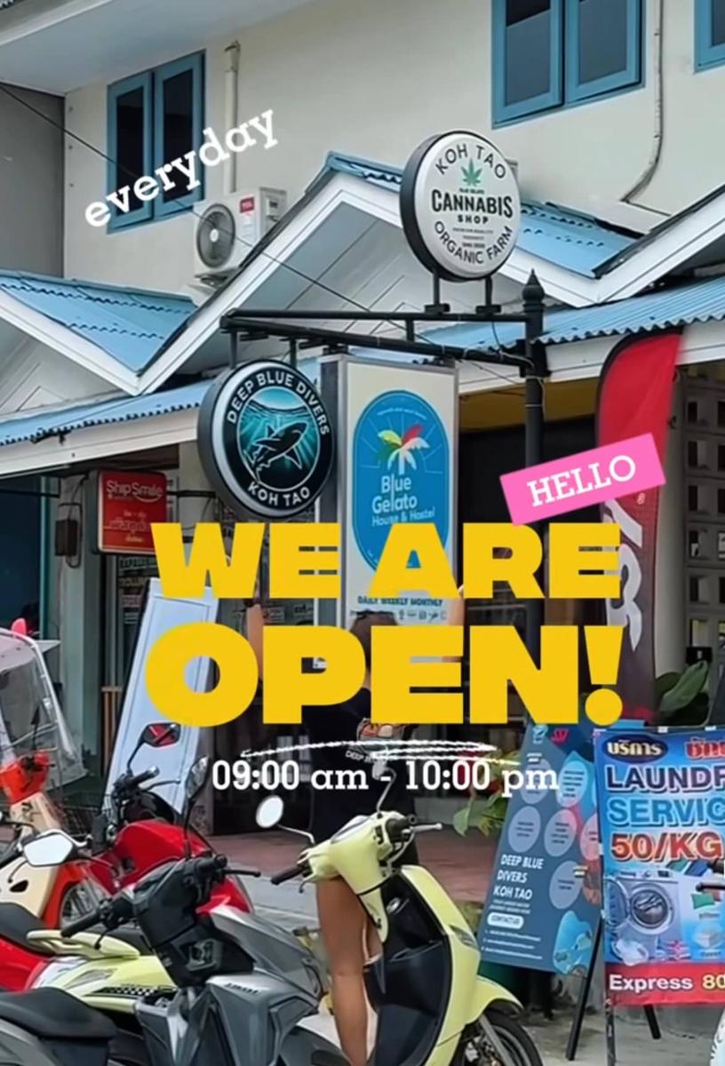Blue Gelato House & Hostel Koh Tao photo 1
