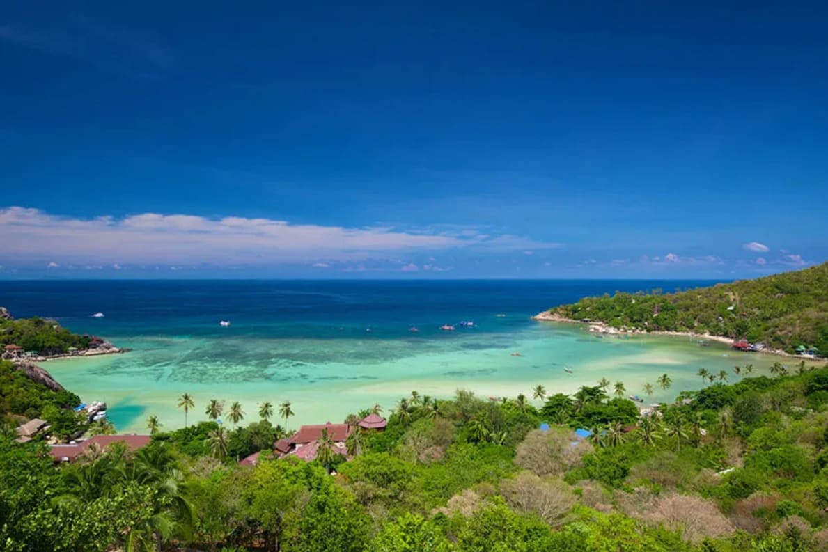 Chalok Chill Hostel Koh Tao photo 4