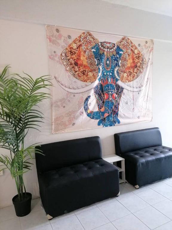 Lita Guesthouse photo 3
