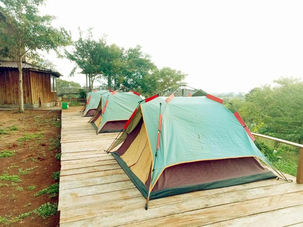 SMR Organic Farm Stay photo 2
