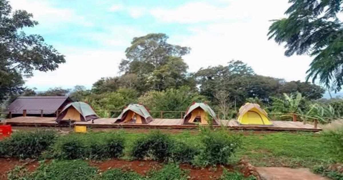 SMR Organic Farm Stay photo 3