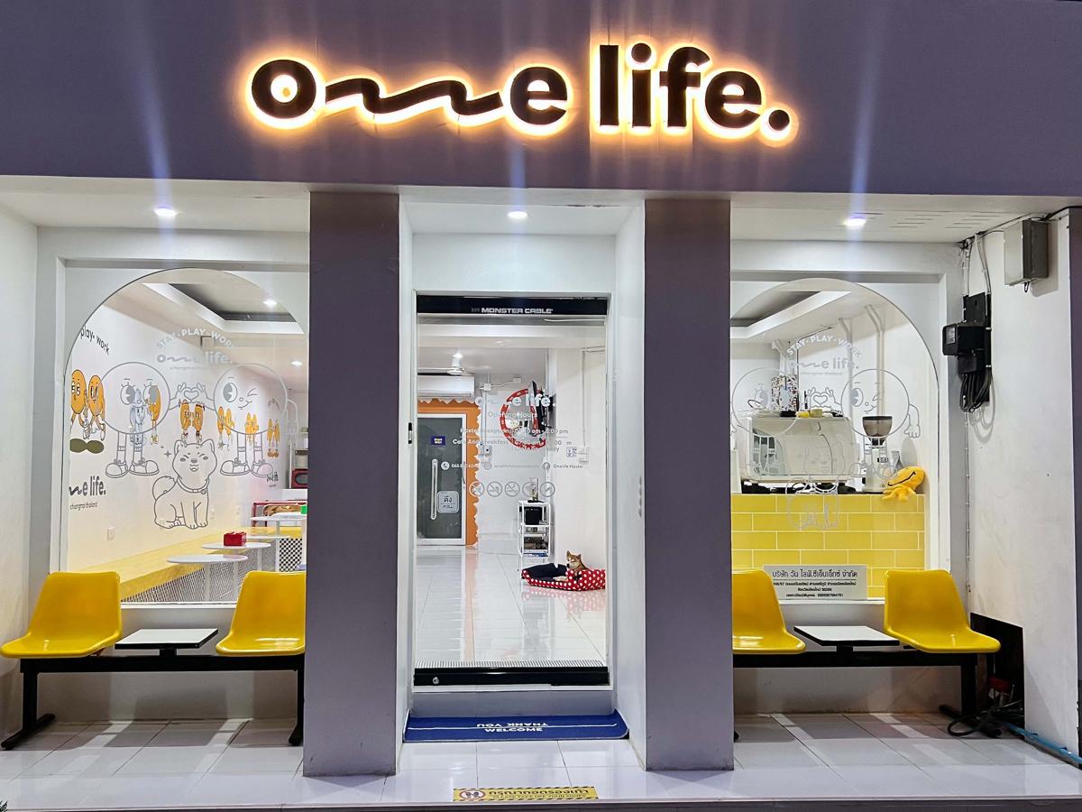 One life Hostel photo 1