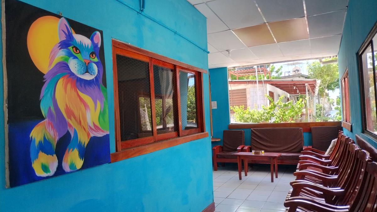 Hostal Javier's House sjs photo 4