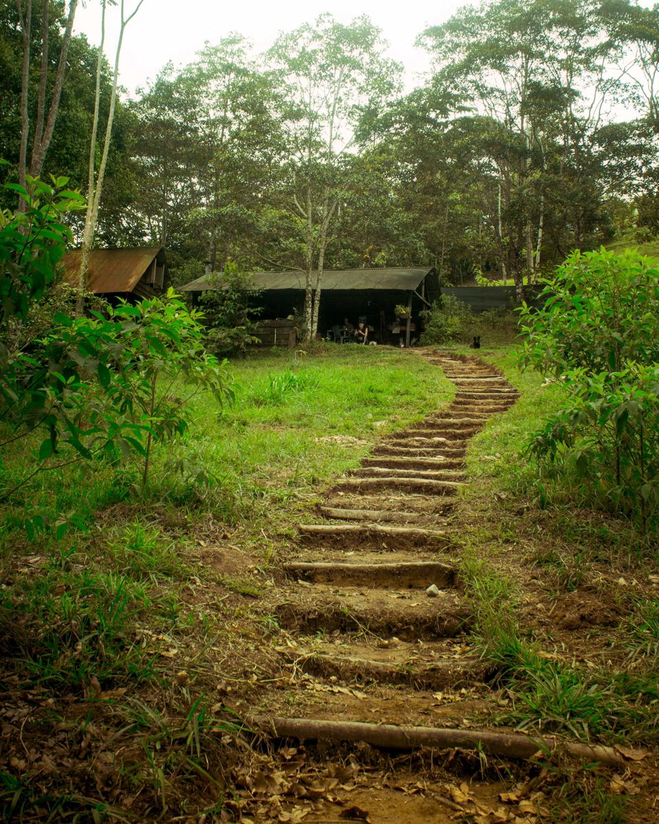 Reserva Kindiwayra ecohostal photo 2