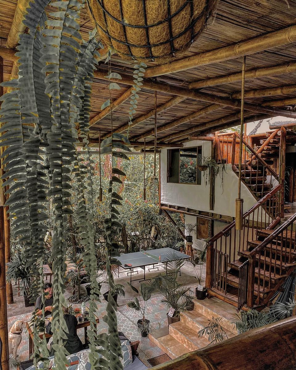 Cinnamon house photo 1