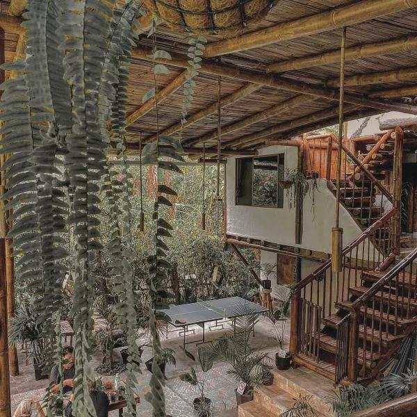 Cinnamon house photo 5