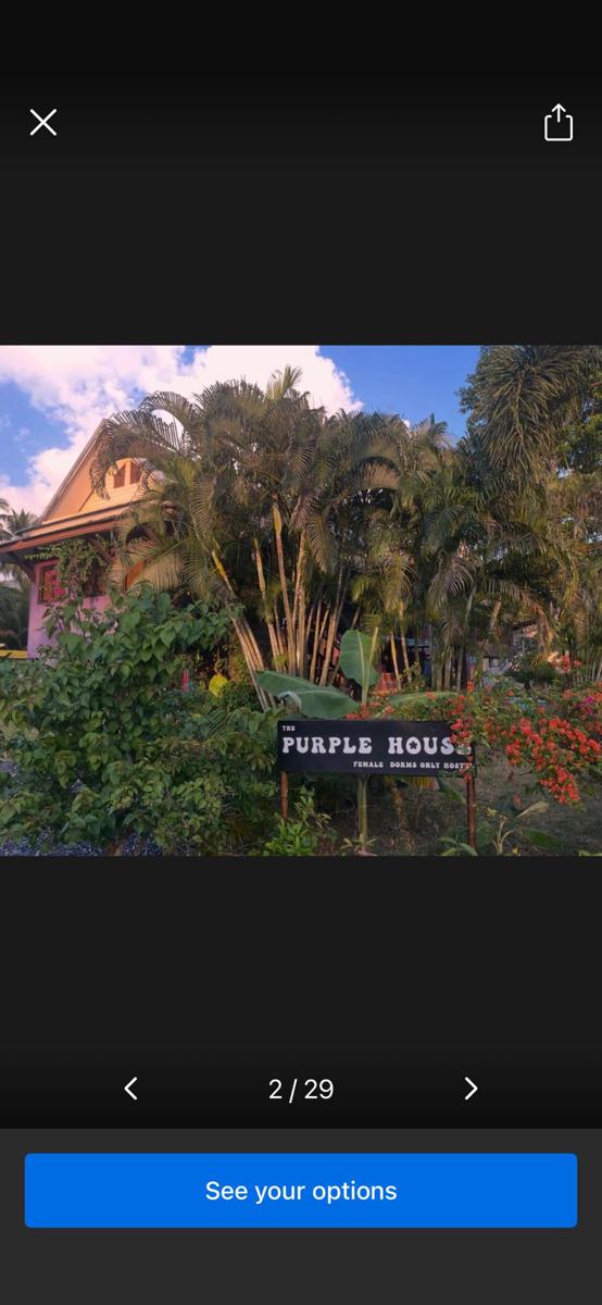 Purple House - Female only Boutique Hostel photo 2