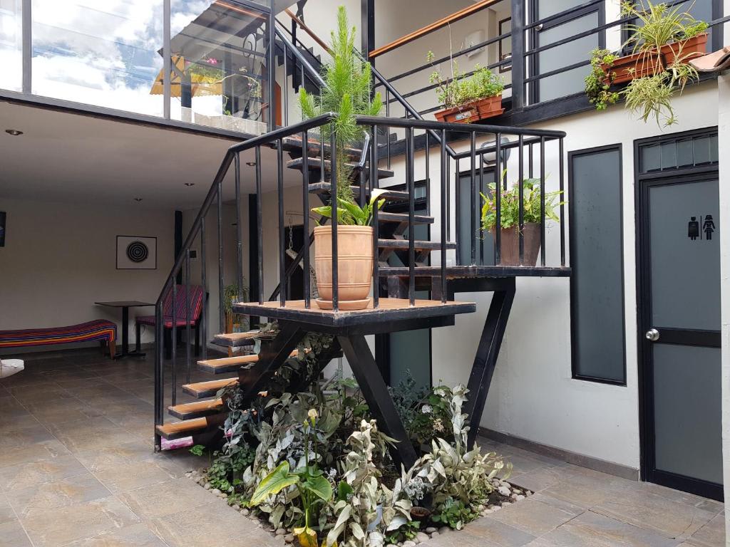 Xplora Hostel Cusco photo 2
