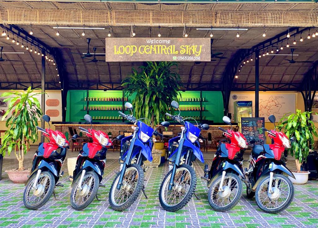 Loop Central Stay Tour & Motorbike Rental photo 1