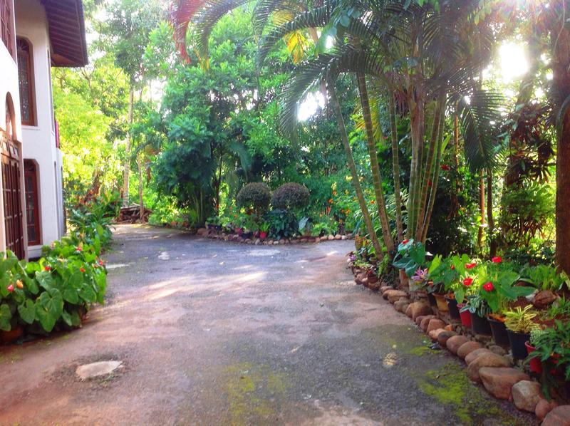Tree Breeze Inn photo 5