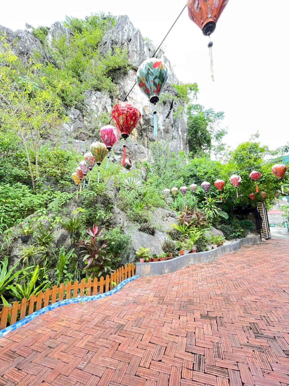 Tam Coc Camellia Garden Homestay photo 2