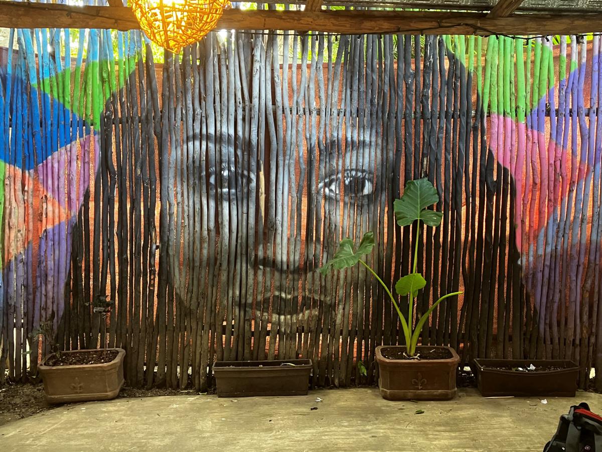 Maya Cabaña photo 1