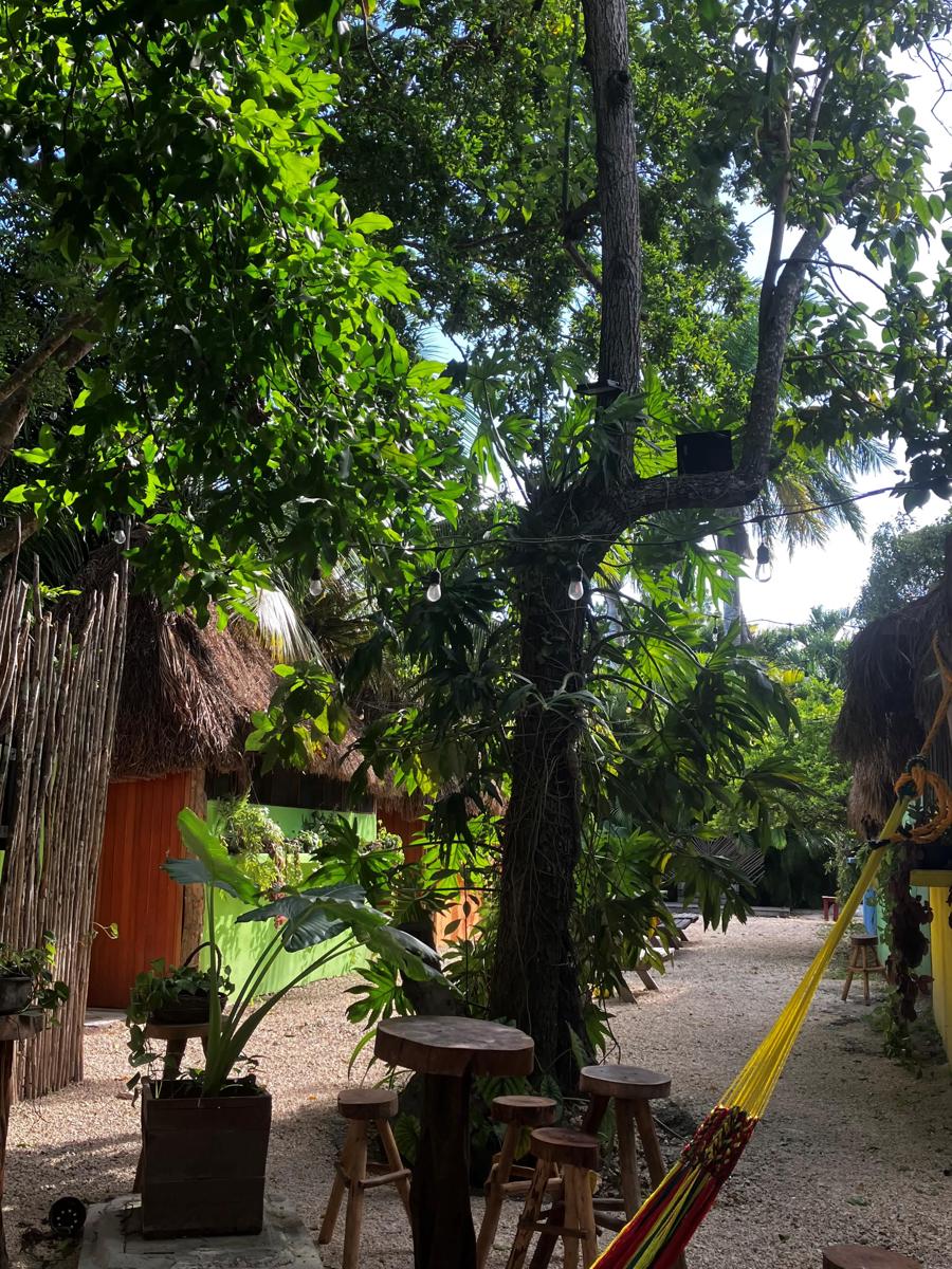 Maya Cabaña photo 3