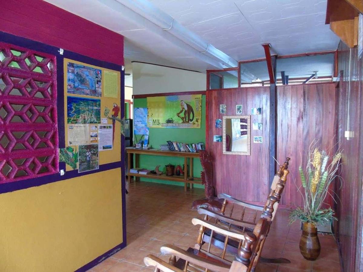 Cabinas Backpacker photo 2