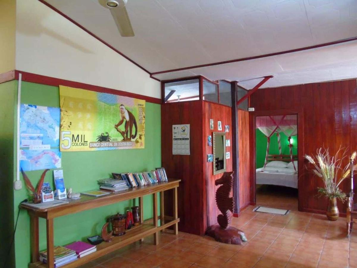 Cabinas Backpacker photo 3
