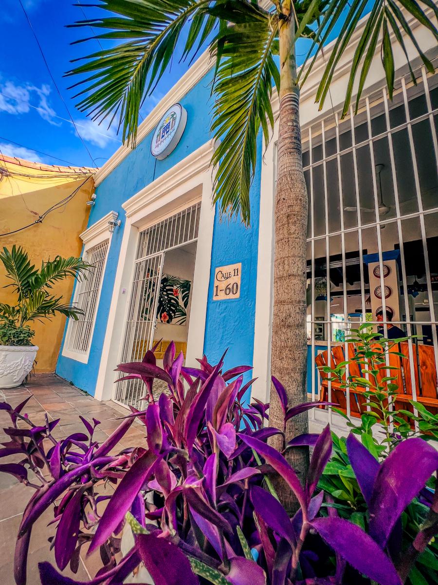 The Blue House Hostel - Santa Marta photo 2