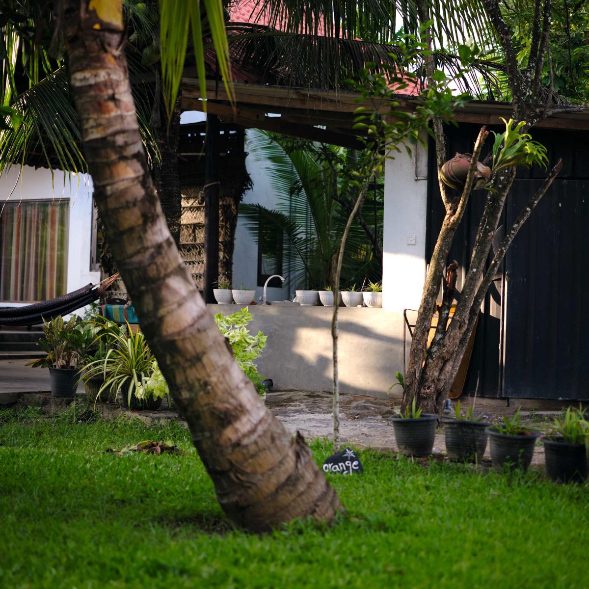 Slow Living Guesthouse and Hostel photo 2