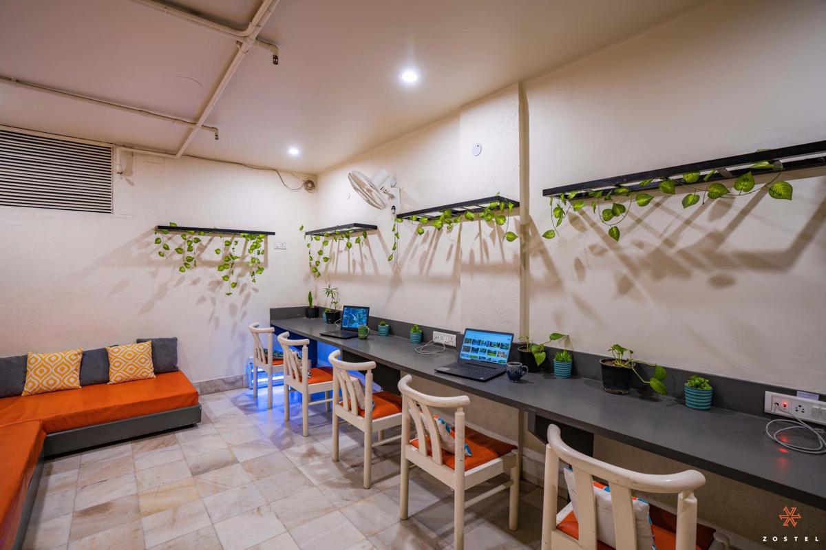 Zostel Delhi photo 3