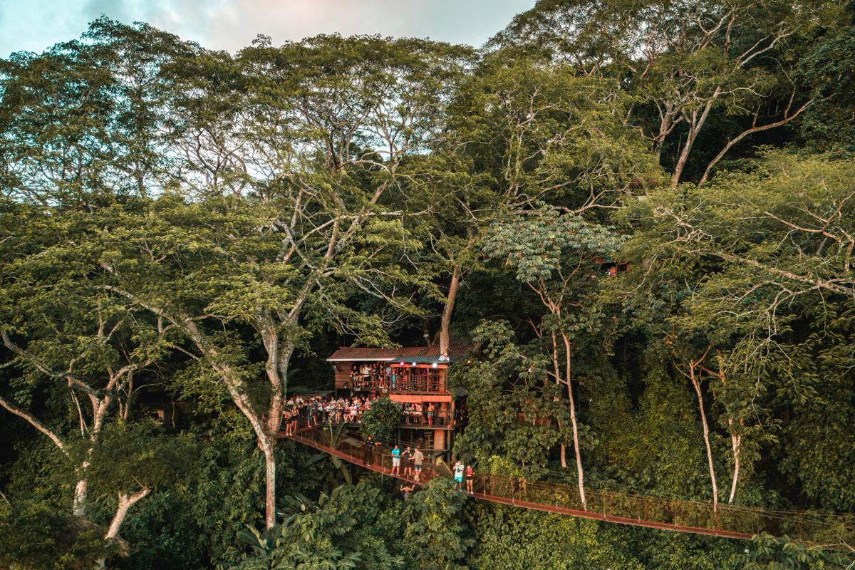 The Treehouse photo 2