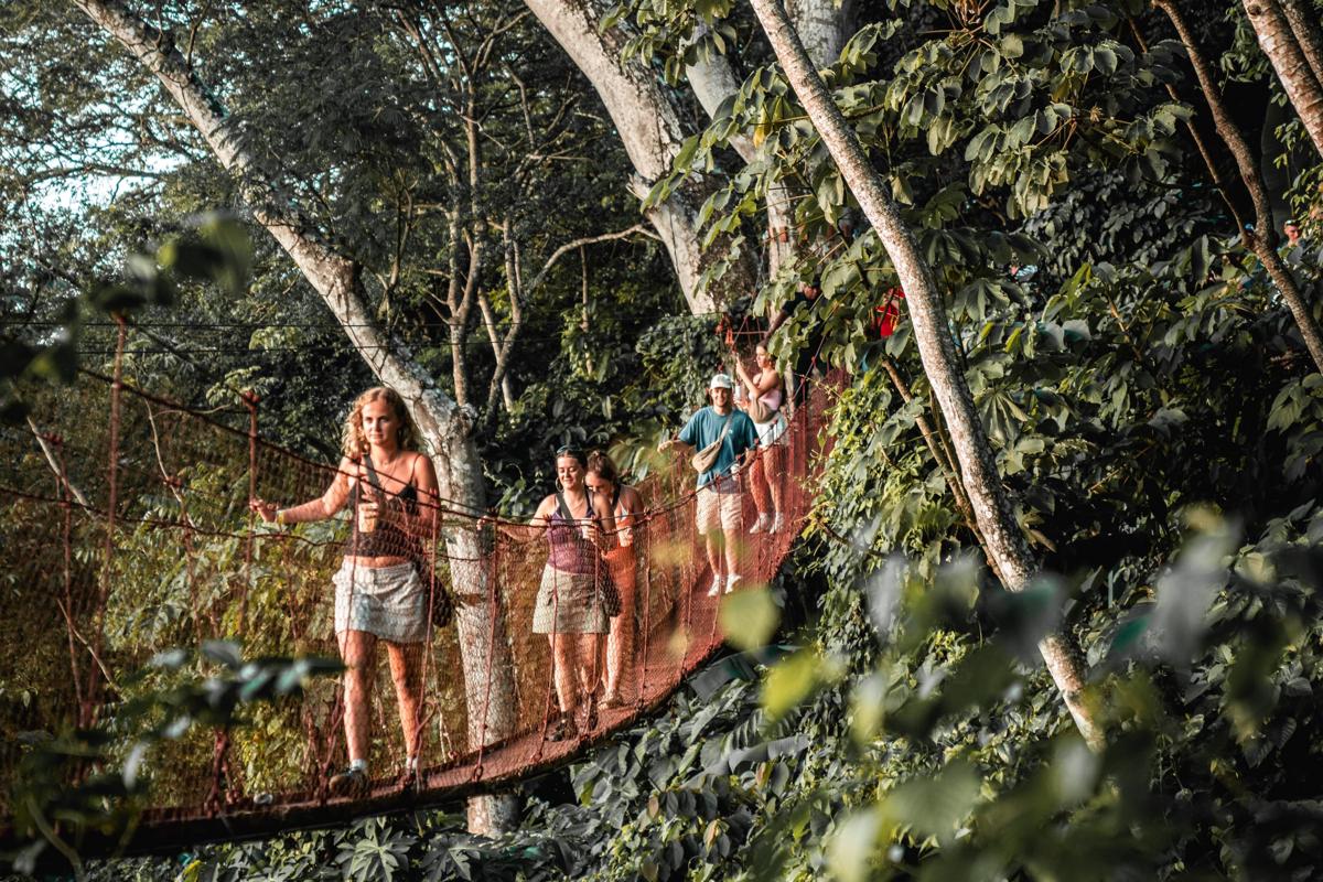 The Treehouse photo 3