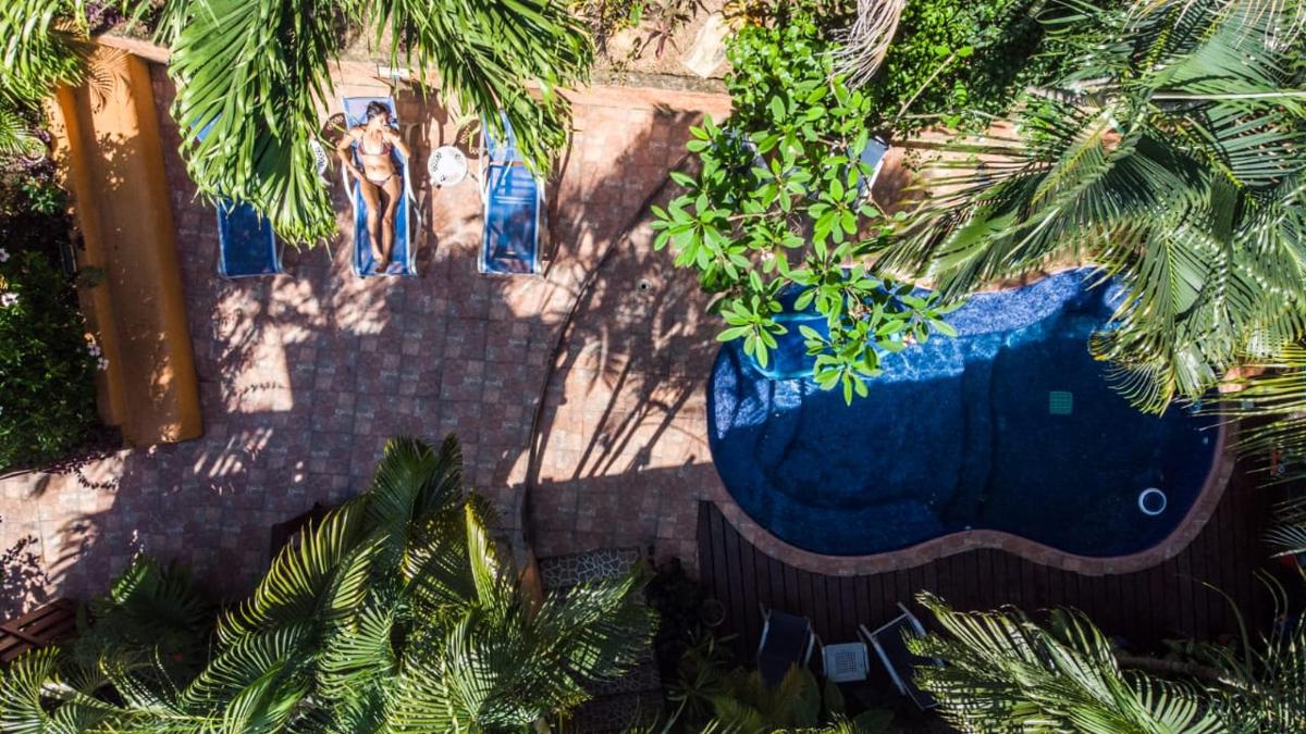 Roatan Backpackers' Hostel photo 1