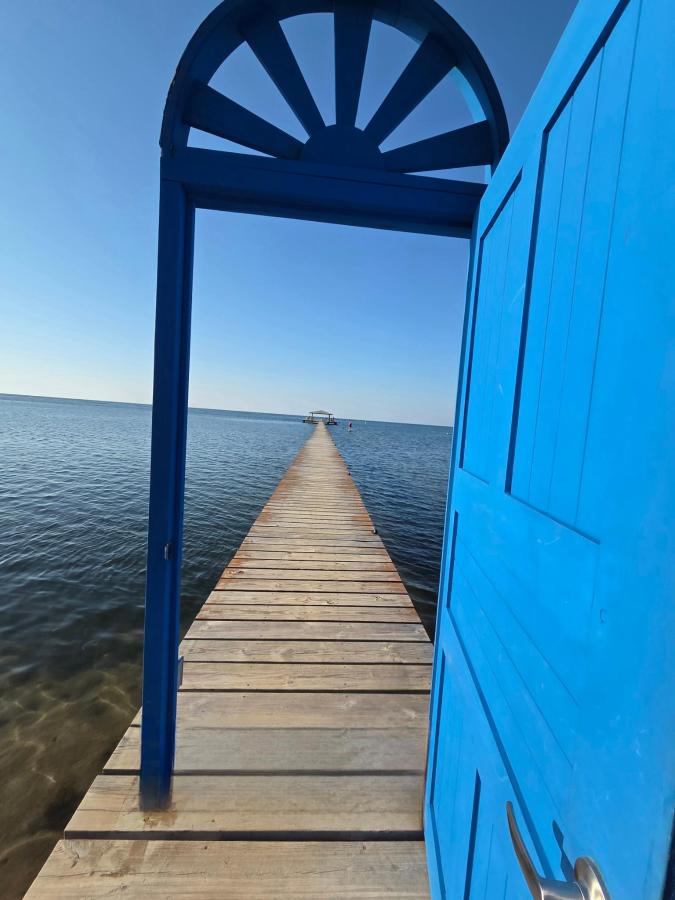 Roatan Backpackers' Hostel photo 6