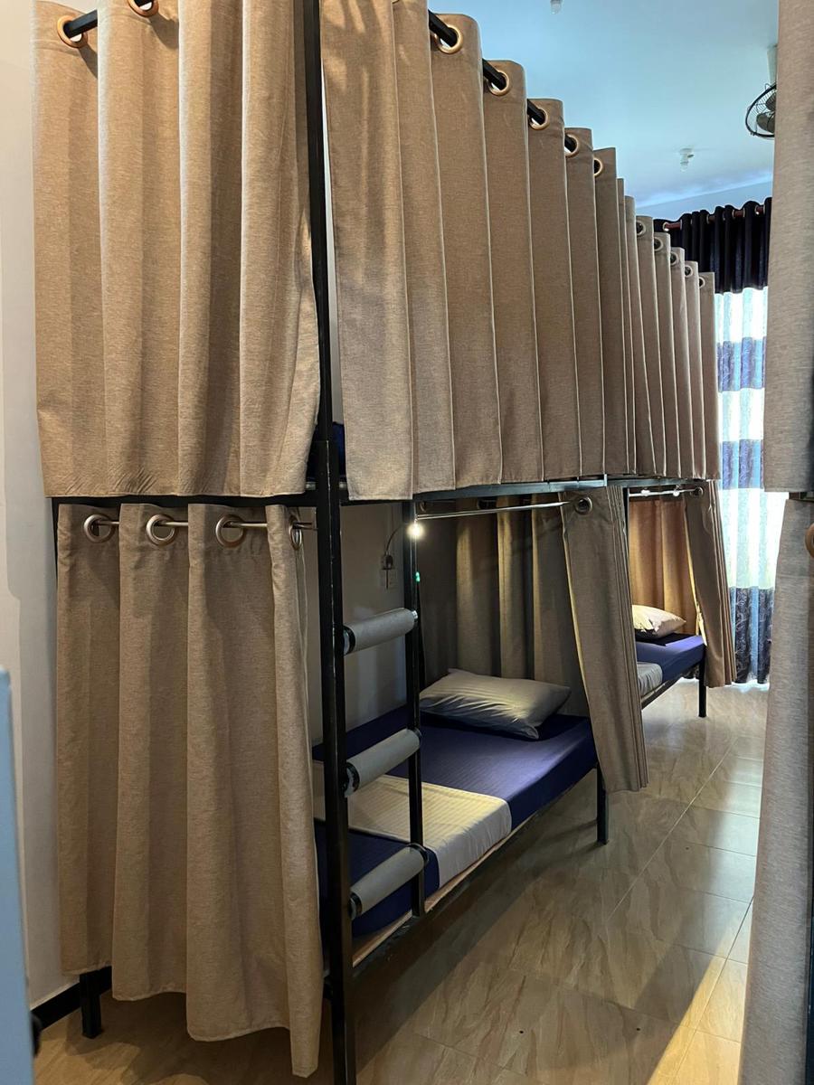 The Fun Bunk photo 3